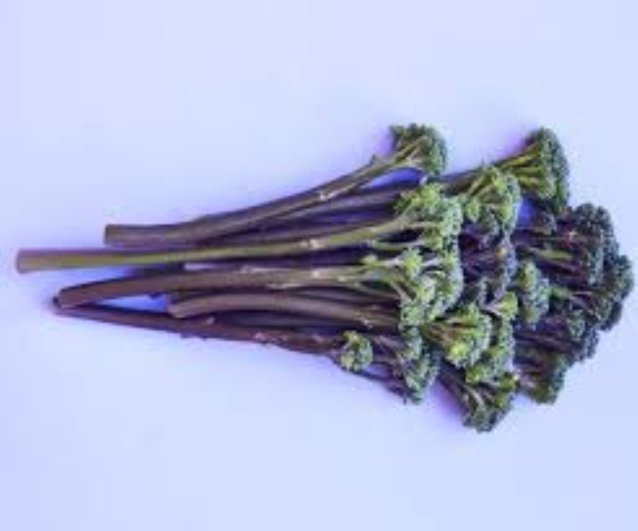 KEITT PURPLE TENDERSTEM BROCOLLI TIPS 200ML